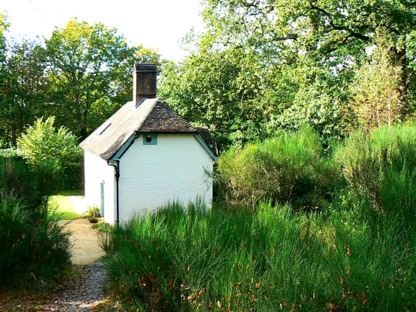 An image depicting the trail Bere Regis Loop and its surrounding area.