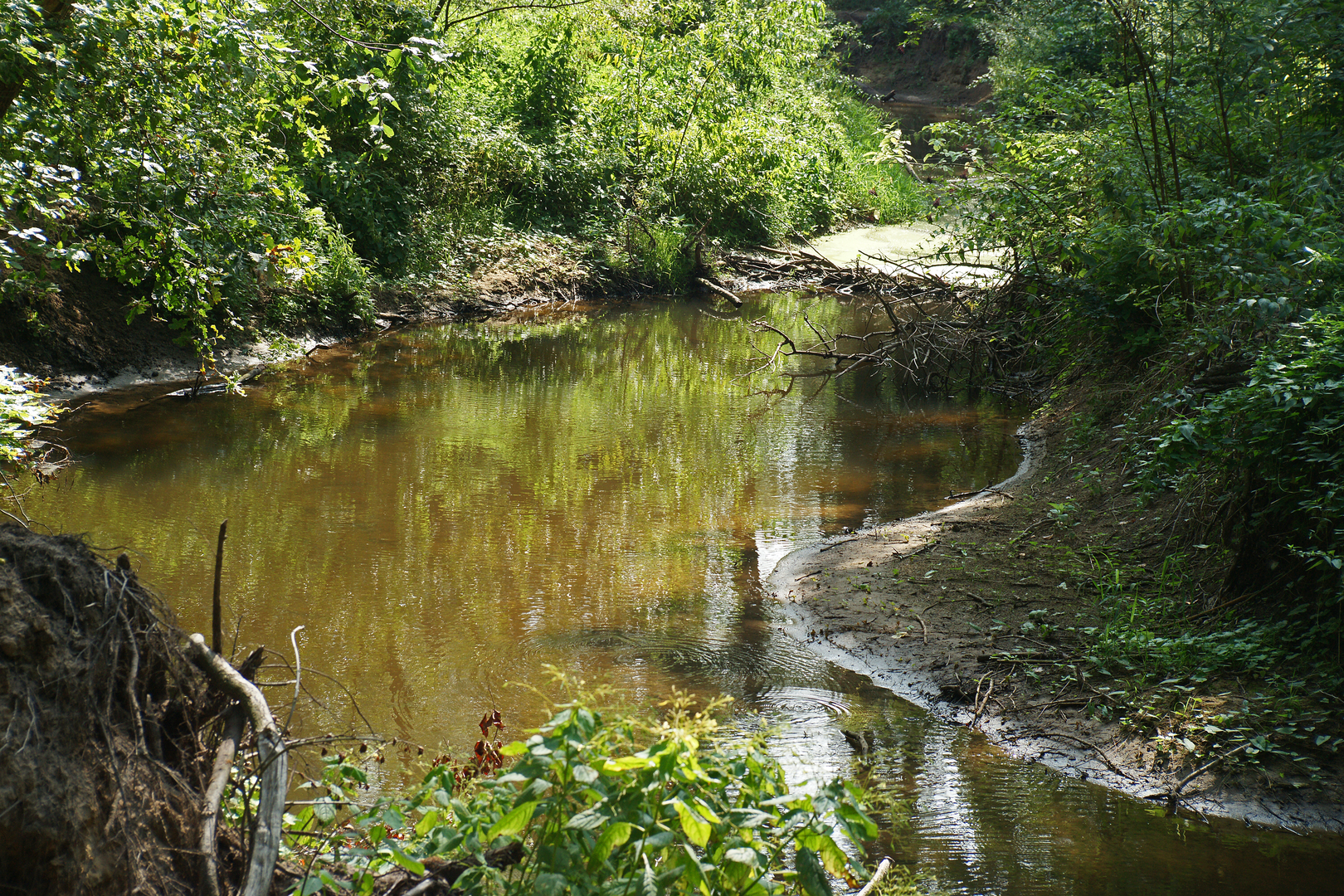 An image depicting the trail Bekendelle and Willinks Weust via Wooldseweg and its surrounding area.