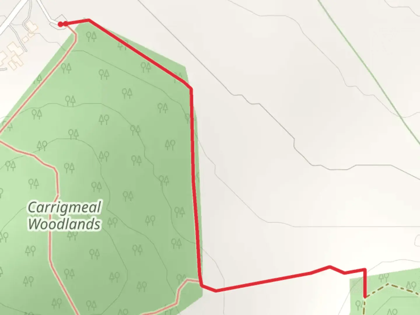 An image depicting the trail Carrigmeal Woodland Loop - Milos and its surrounding area.