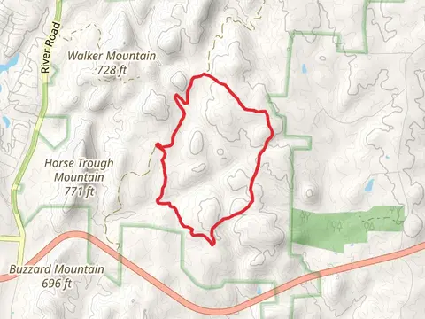 Supertree Loop Trail