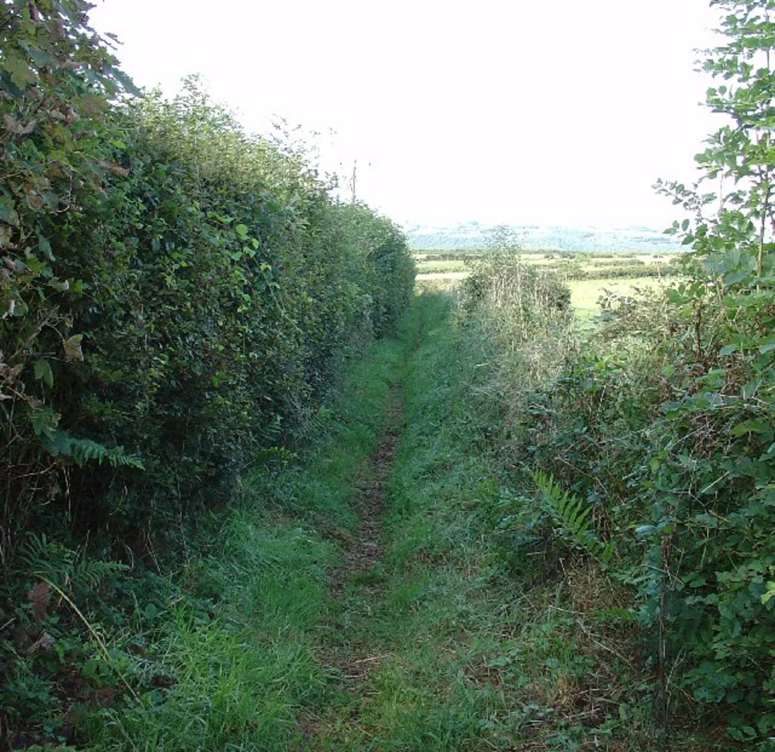 An image depicting the trail Harrowbeer and The Garden House and its surrounding area.