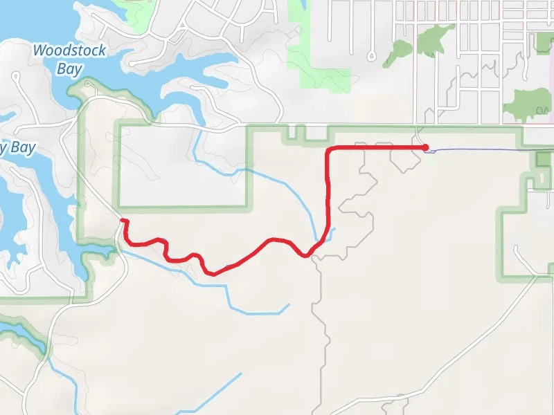 Millenium Trail