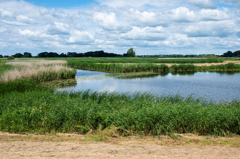 Eendenkooi via Sluizerdijk and Wijk Weg