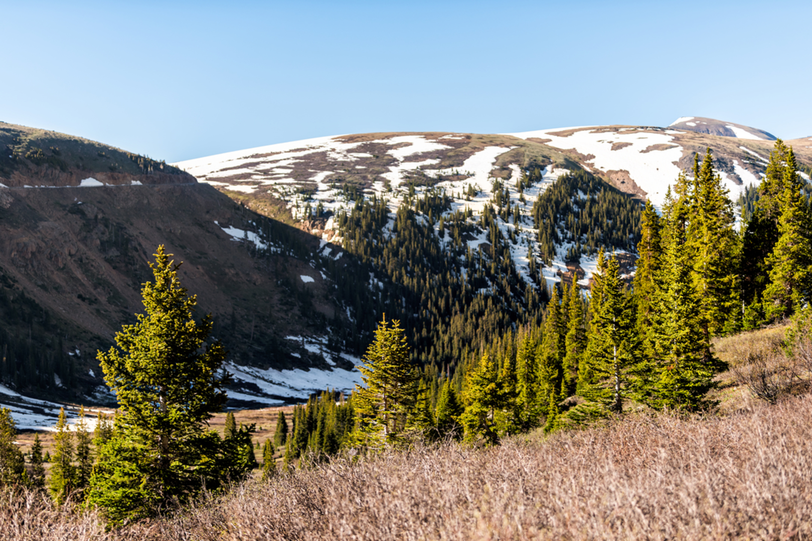 An image depicting the trail Linkins Lake Trail and its surrounding area.