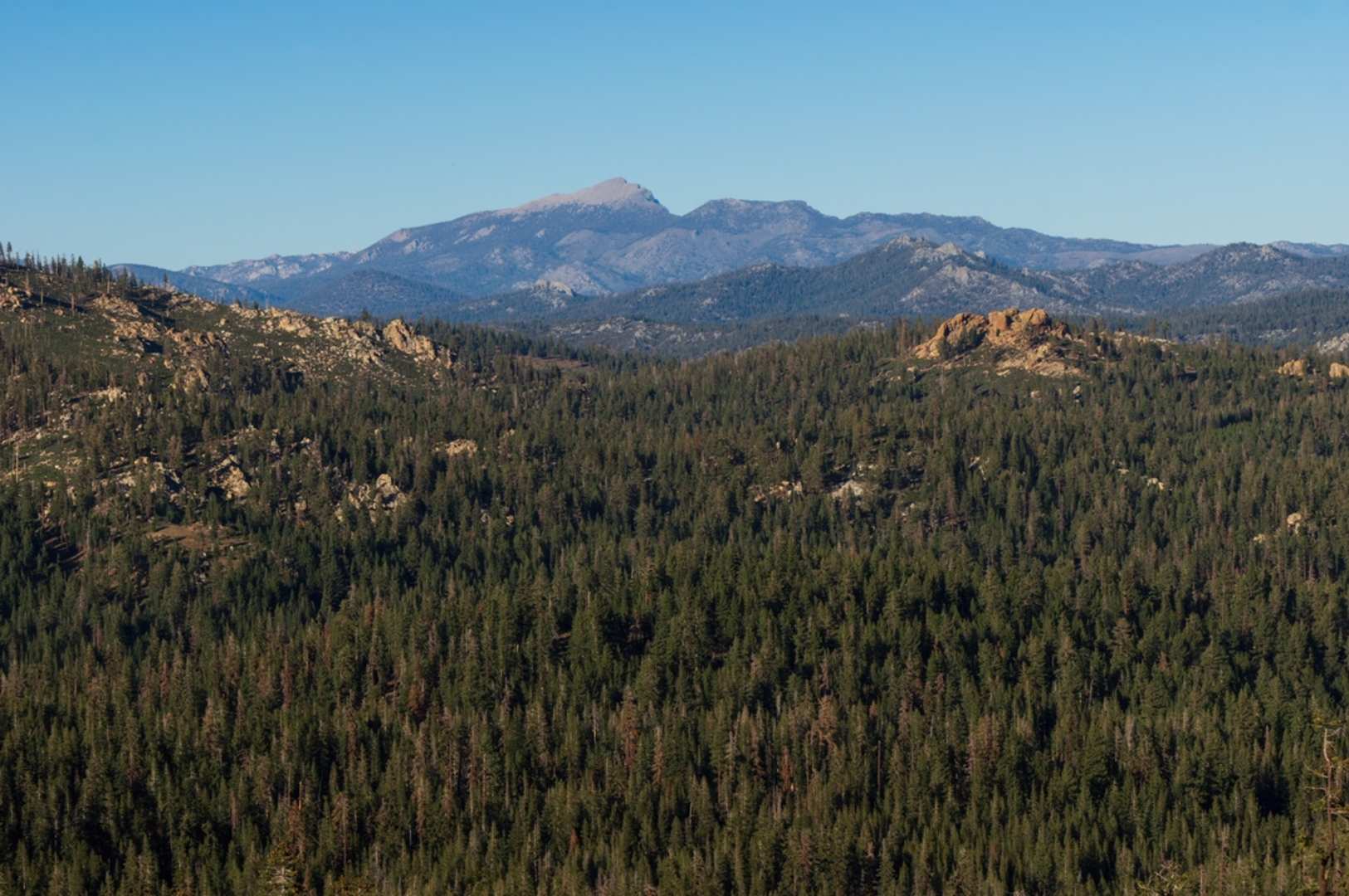 An image depicting the trail Strawberry Meadow to Monache Trail and its surrounding area.