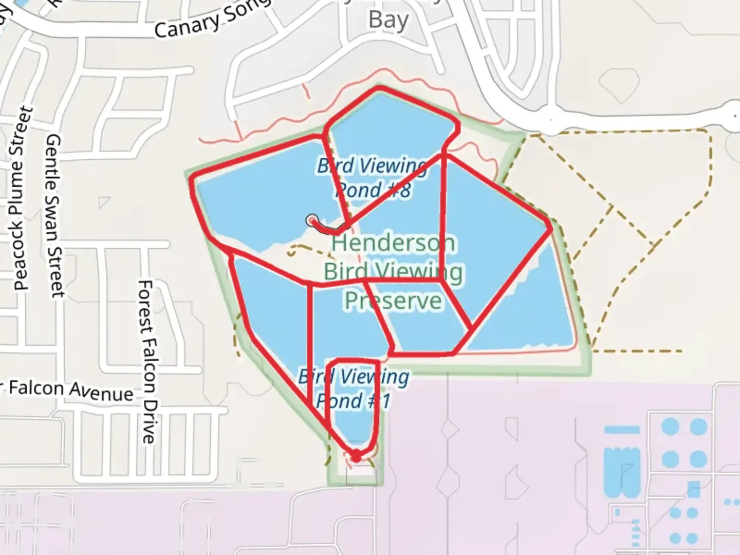 An image depicting the trail Bird Viewing Pond Loop and its surrounding area.