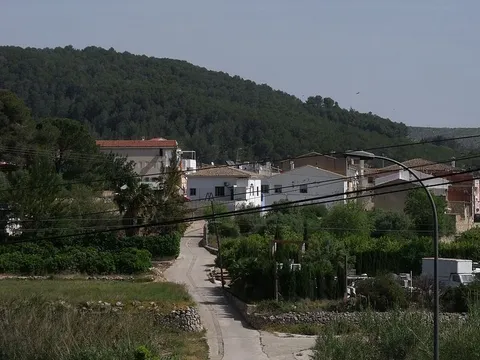 Dels Vernisa a la Cuta PR CV 400