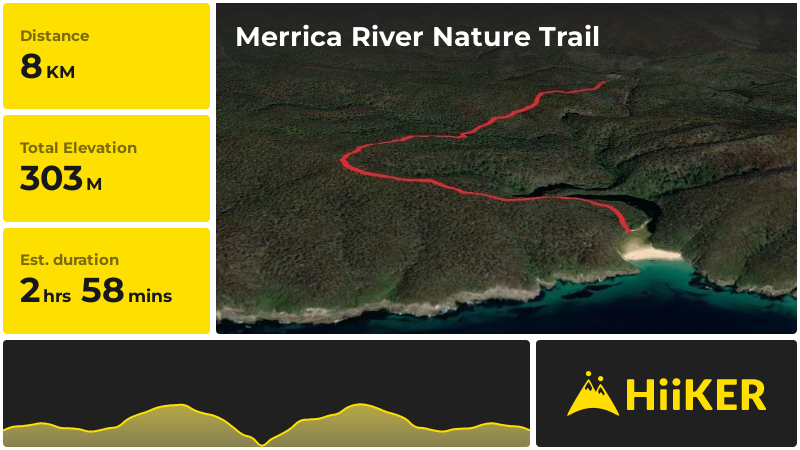 Merrica River Nature Trail | Bega Valley Shire | New South Wales
