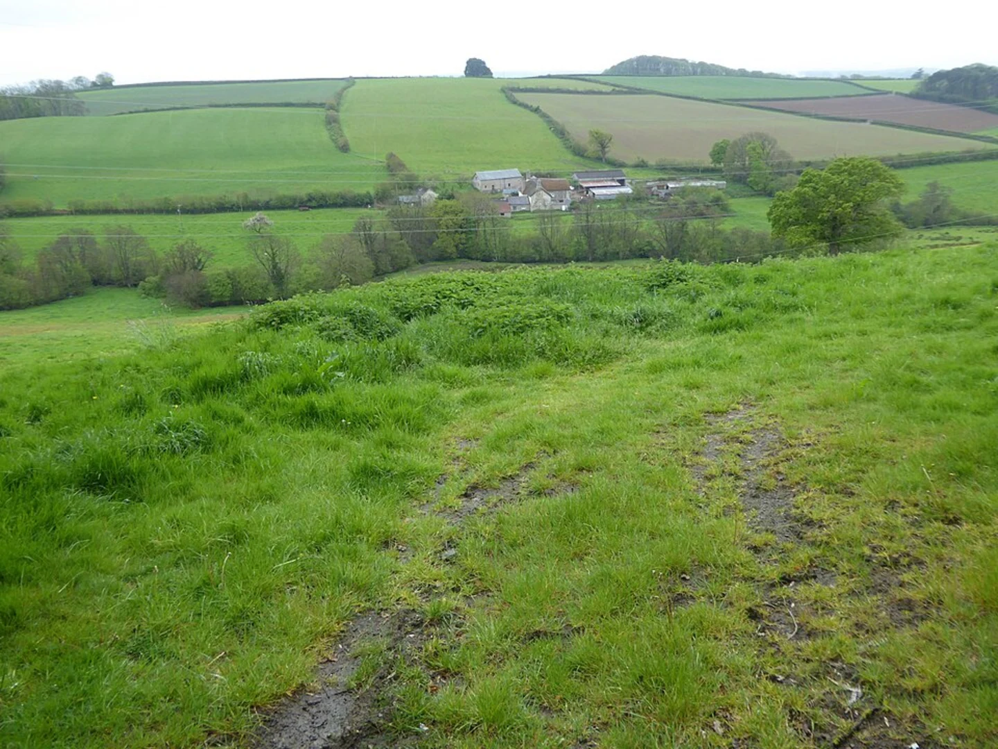 An image depicting the trail Knowstone to Hawkridge via New Moor Plantation and its surrounding area.