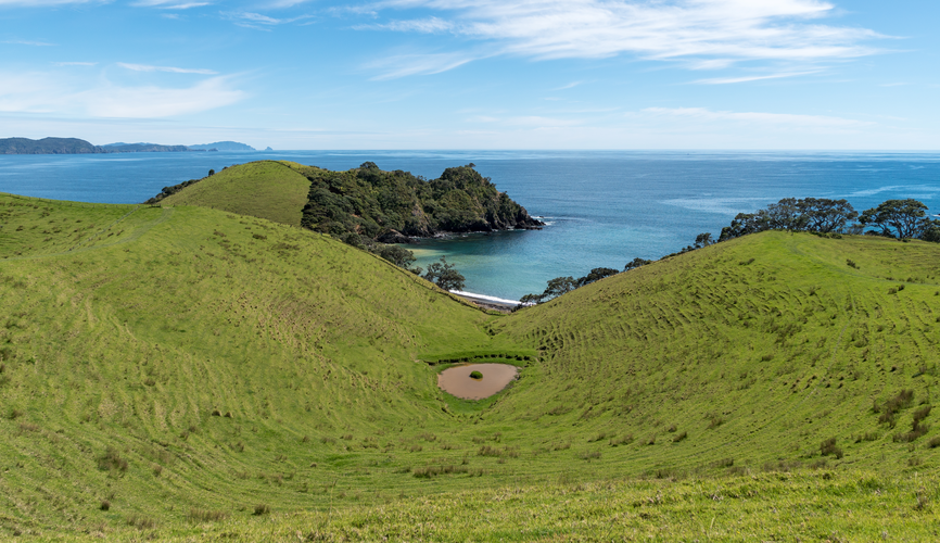 Tohumoana Lookout Track