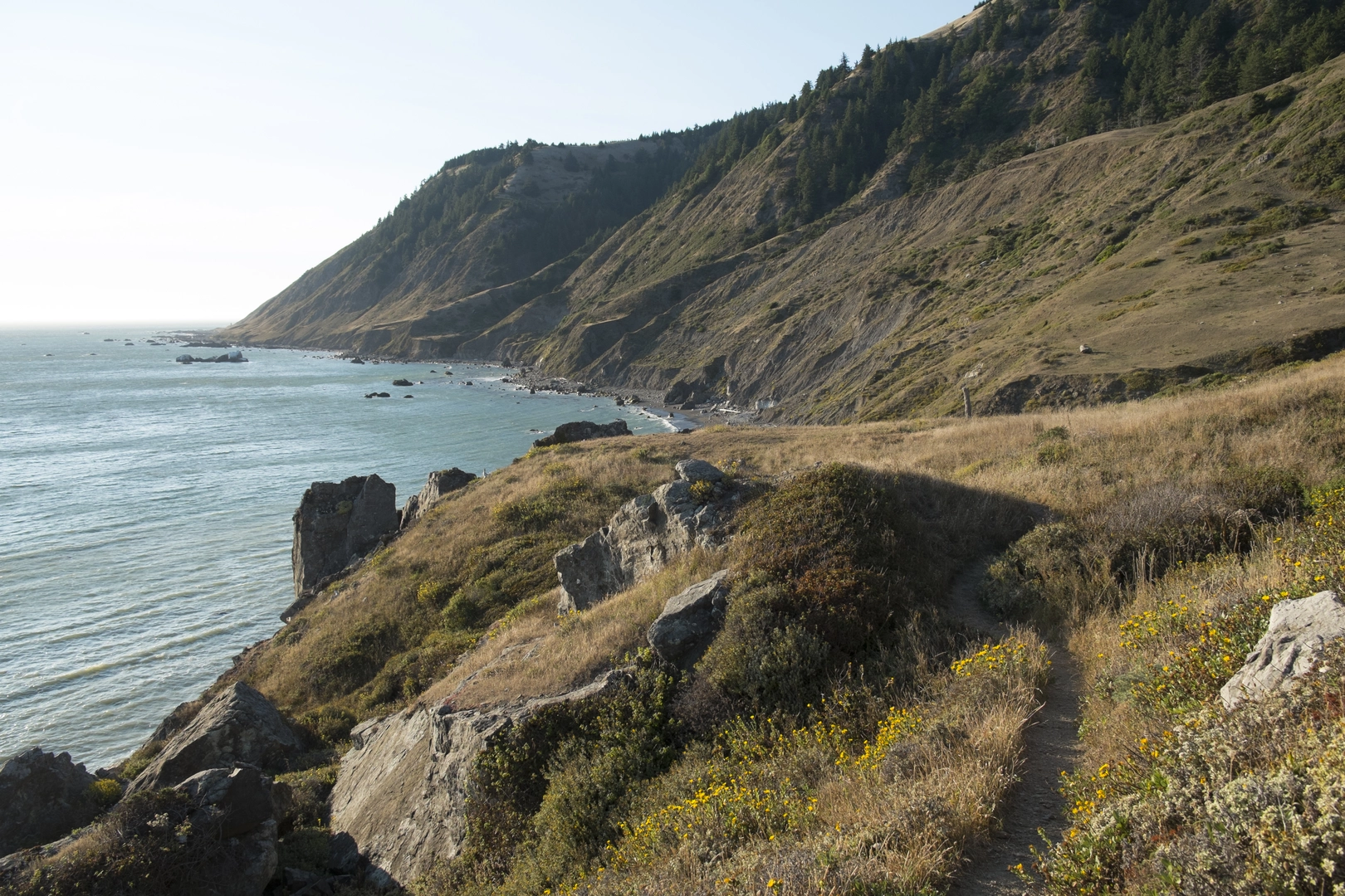 An image depicting the trail Lost Coast Trail and its surrounding area.