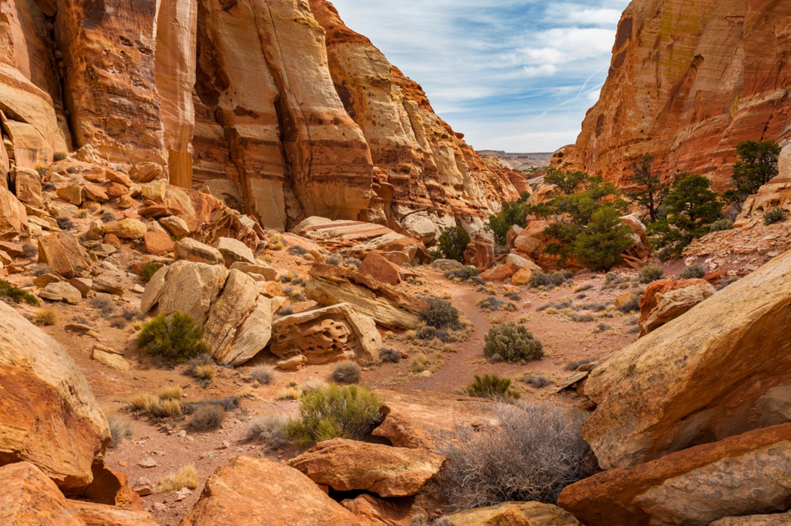 An image depicting the trail Cohab Canyon Trail and its surrounding area.