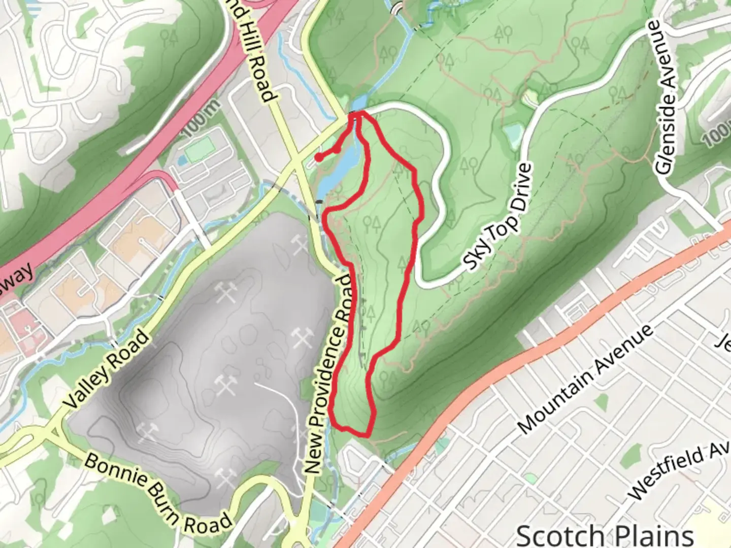 An image depicting the trail Seeley's Pond and White Loop Trail and its surrounding area.