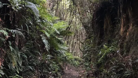 Long Hilly - Round Hill - Walking Track