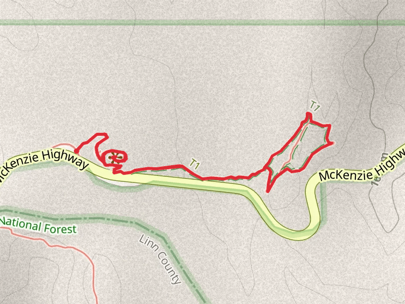 McKenzie Pass