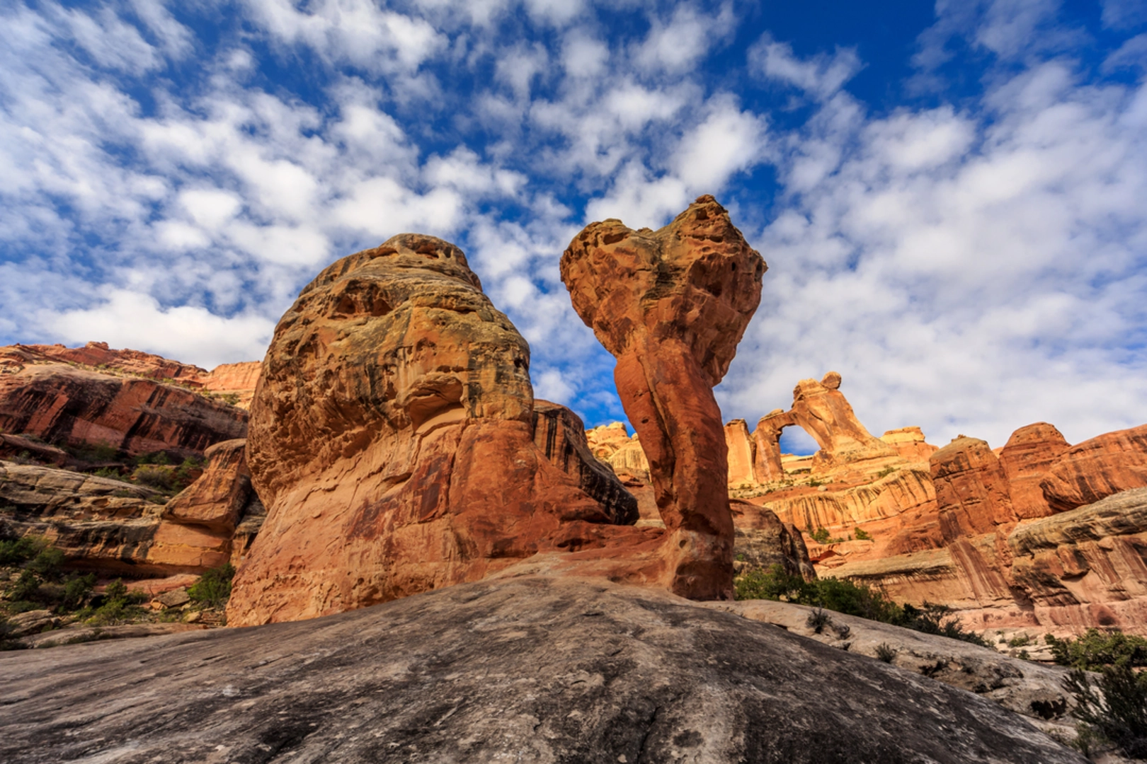 An image depicting the trail Angel Arch from Cave Spring Trail and its surrounding area.