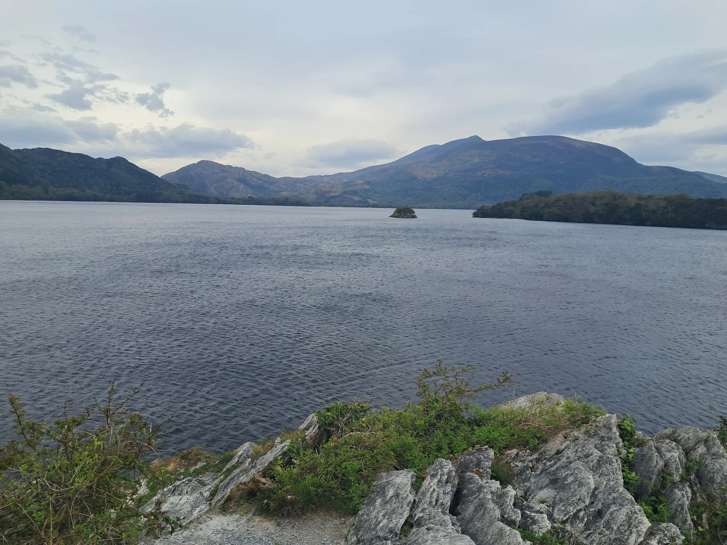 An image depicting the trail Muckross Lake Loop and its surrounding area.