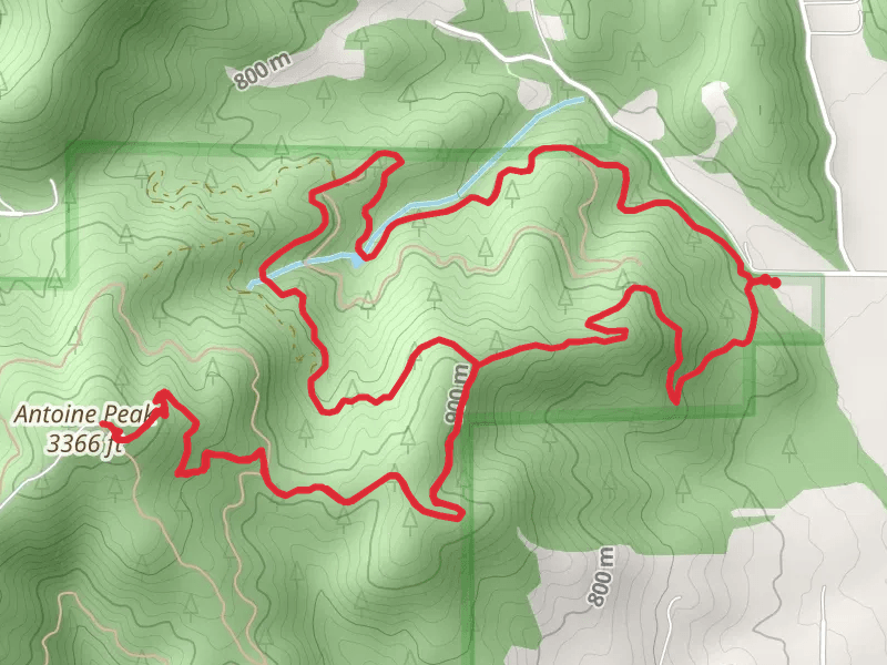 Antoine Peak via Canfield Gulch Loop