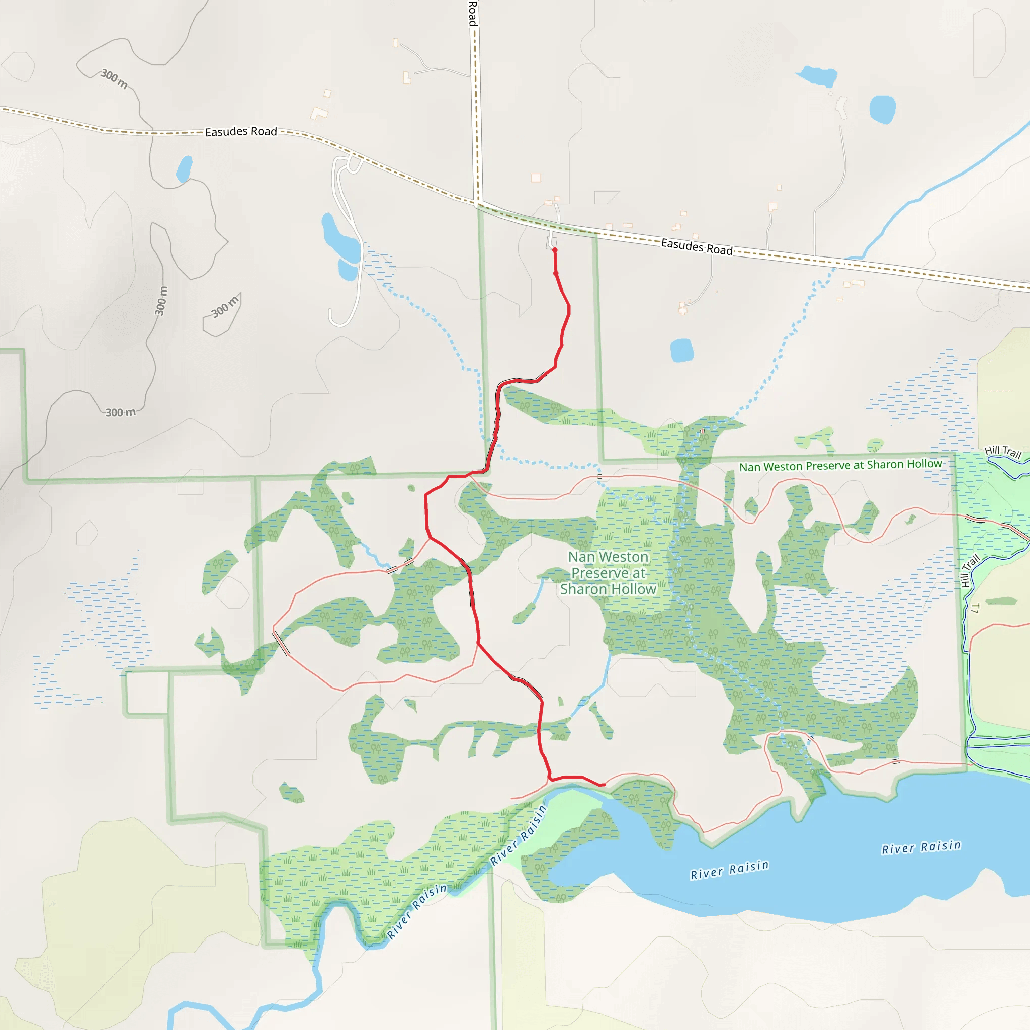 River Raisin in Nan Weston Preserve at Sharon Hollow mobile static map