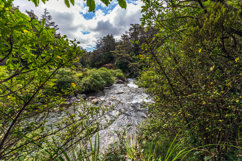 Whakapapanui Track