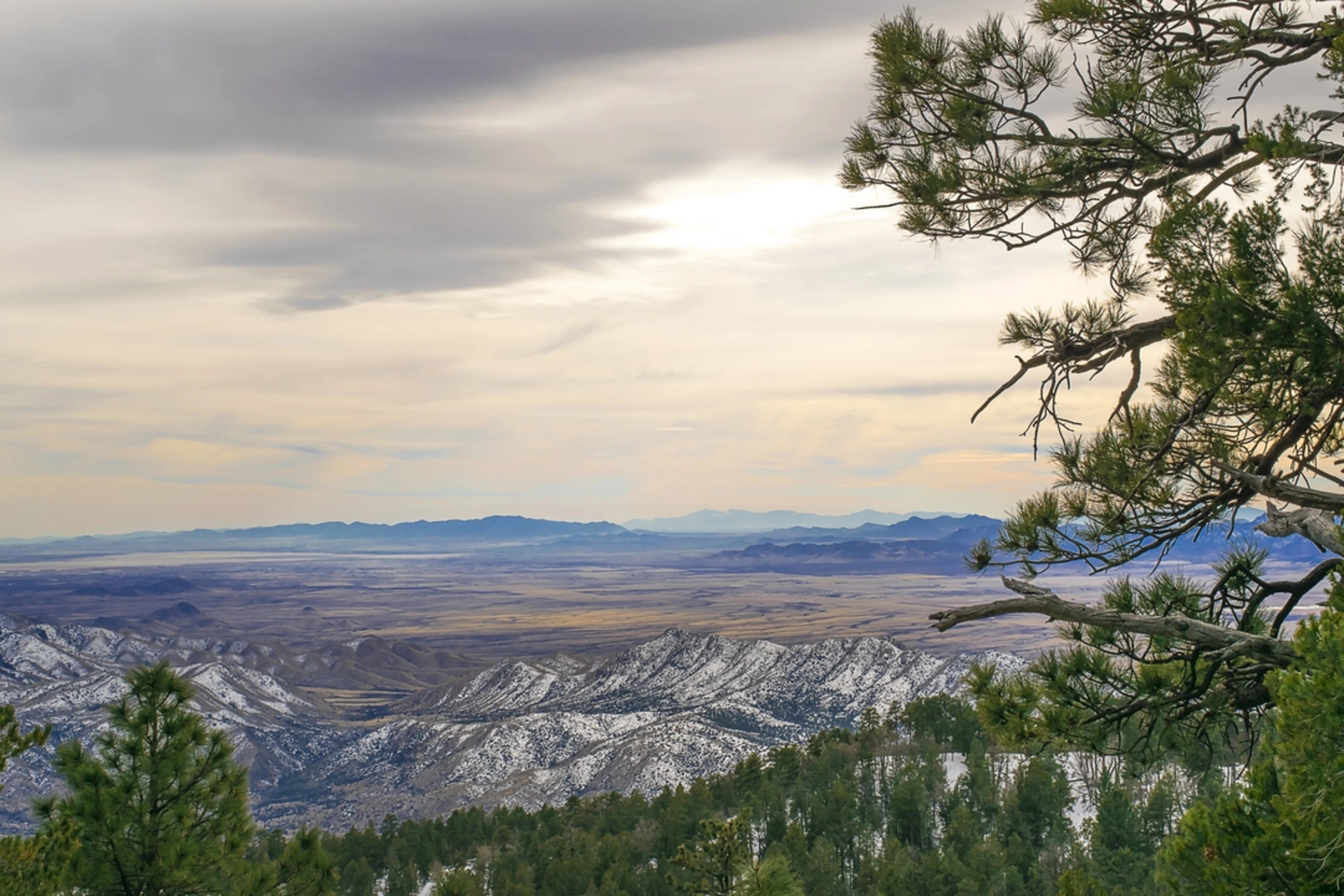 An image depicting the trail Grant Hill Loop Trail and its surrounding area.