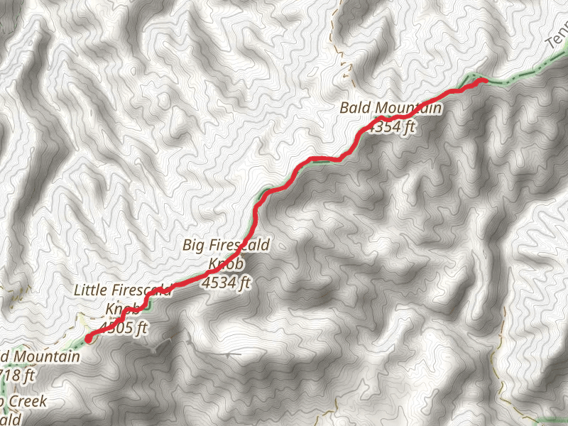 Big Firescald Knob and Andrew Johnson Mountain