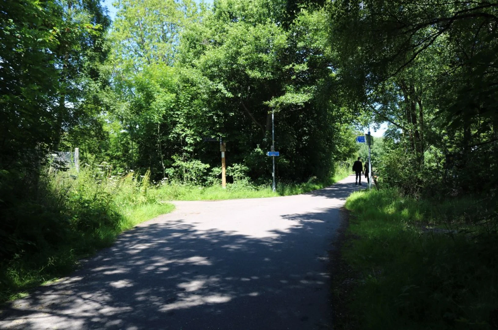 An image depicting the trail Buzzard Trail and its surrounding area.