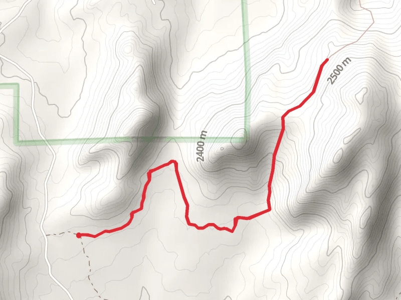 Roaring Fork Creek