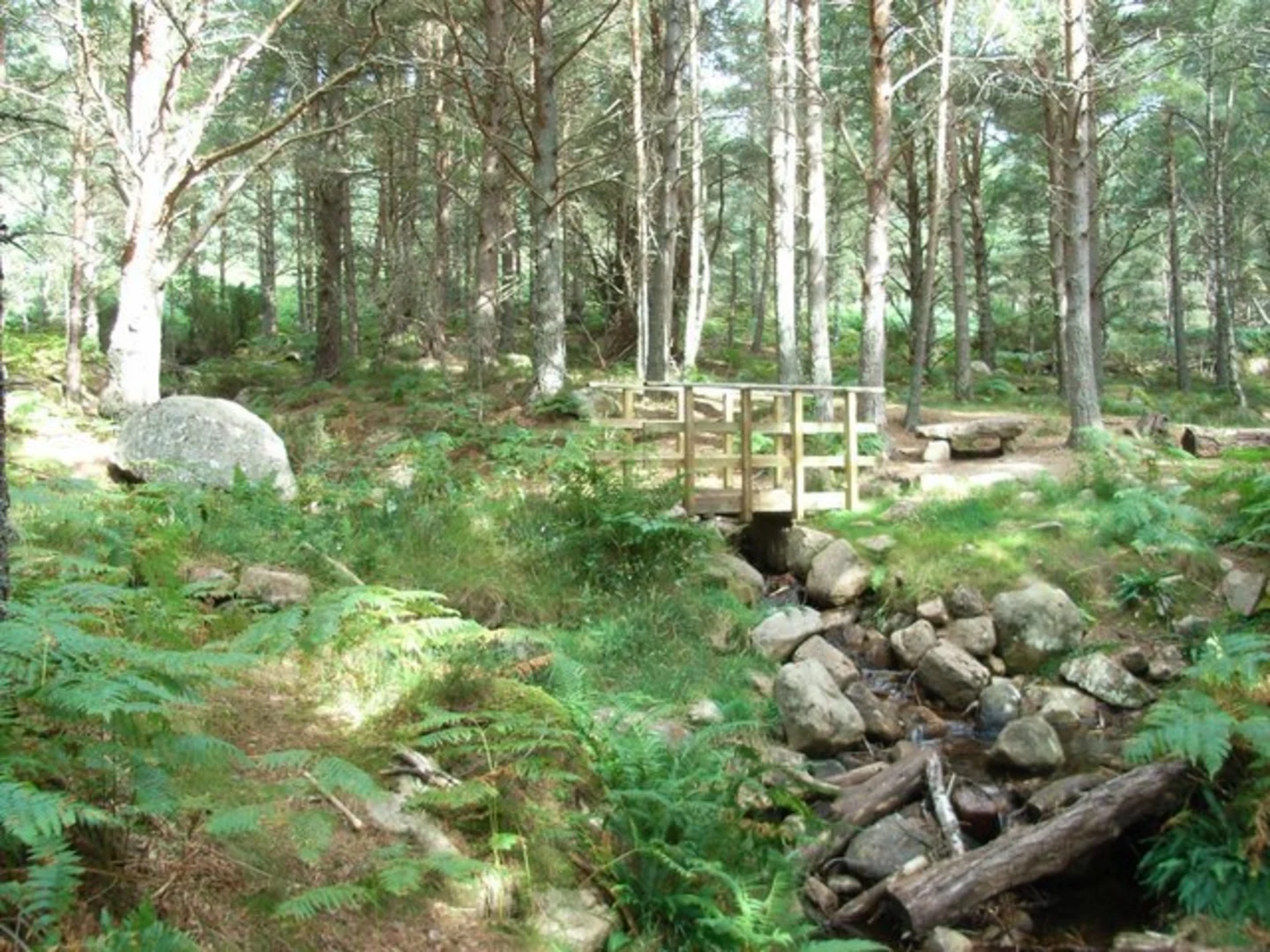 An image depicting the trail Two Lochans Loop Trail and its surrounding area.