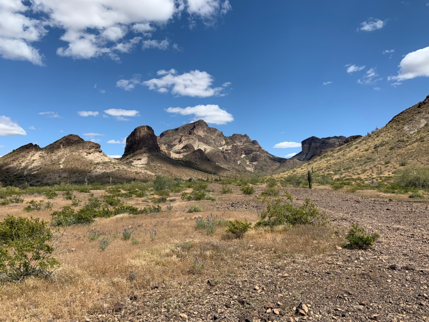 An image depicting the trail Hinkle Trail and its surrounding area.