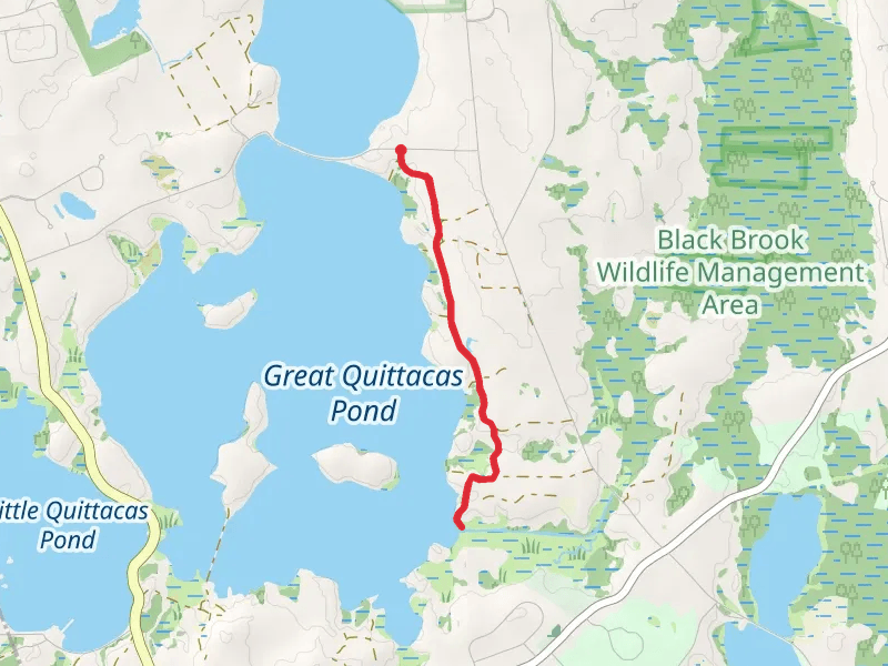 Great Quittacas Pond East Shore Trail