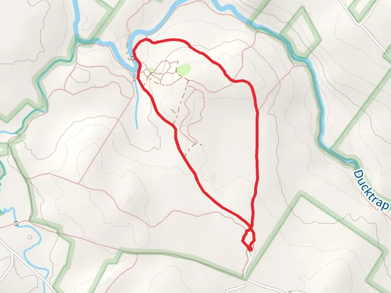 Tanglewood Road Forest Loop Trail