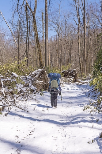 Mt Cammerer and Big Creek Loop