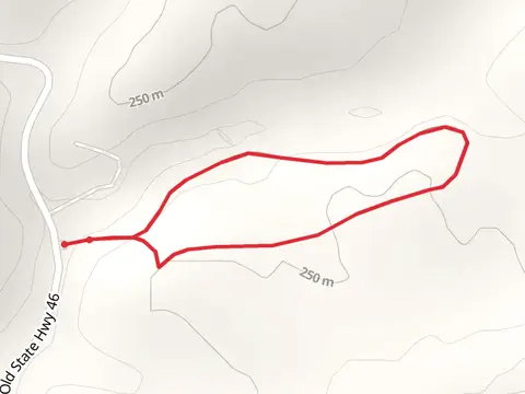 Old State Road Loop