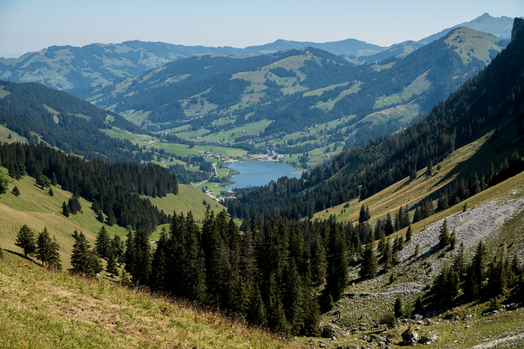 Schwarzsee-Aroleid - Nr 124