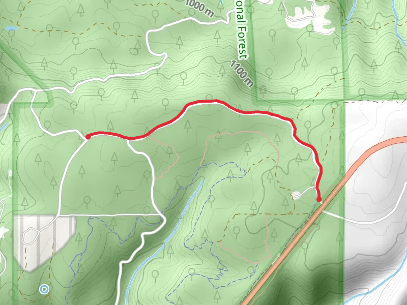 Pfeiffer Trail