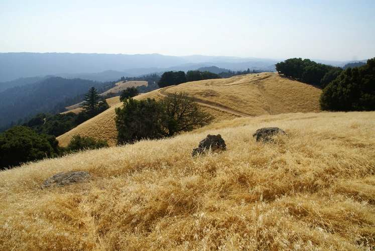 Turtle Rock via Long Ridge and Peters Creek Trail
