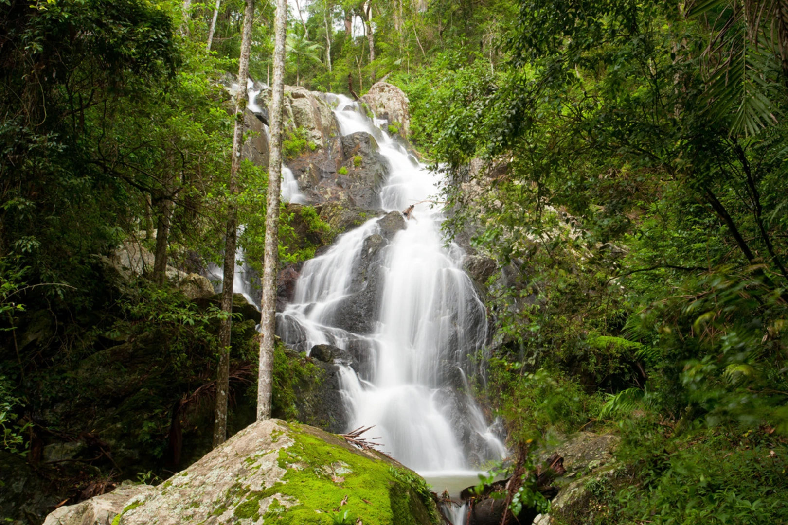 An image depicting the trail Greenes Falls Track and its surrounding area.