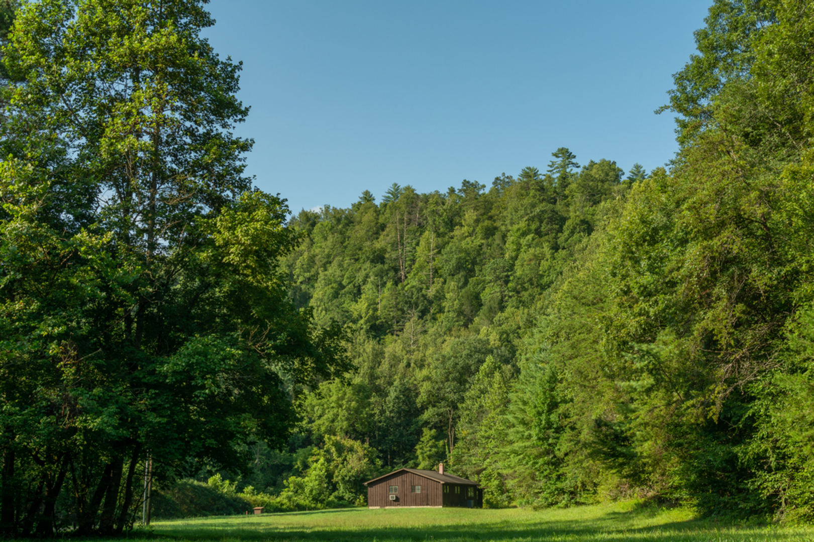 An image depicting the trail Little Bottoms Trail and its surrounding area.