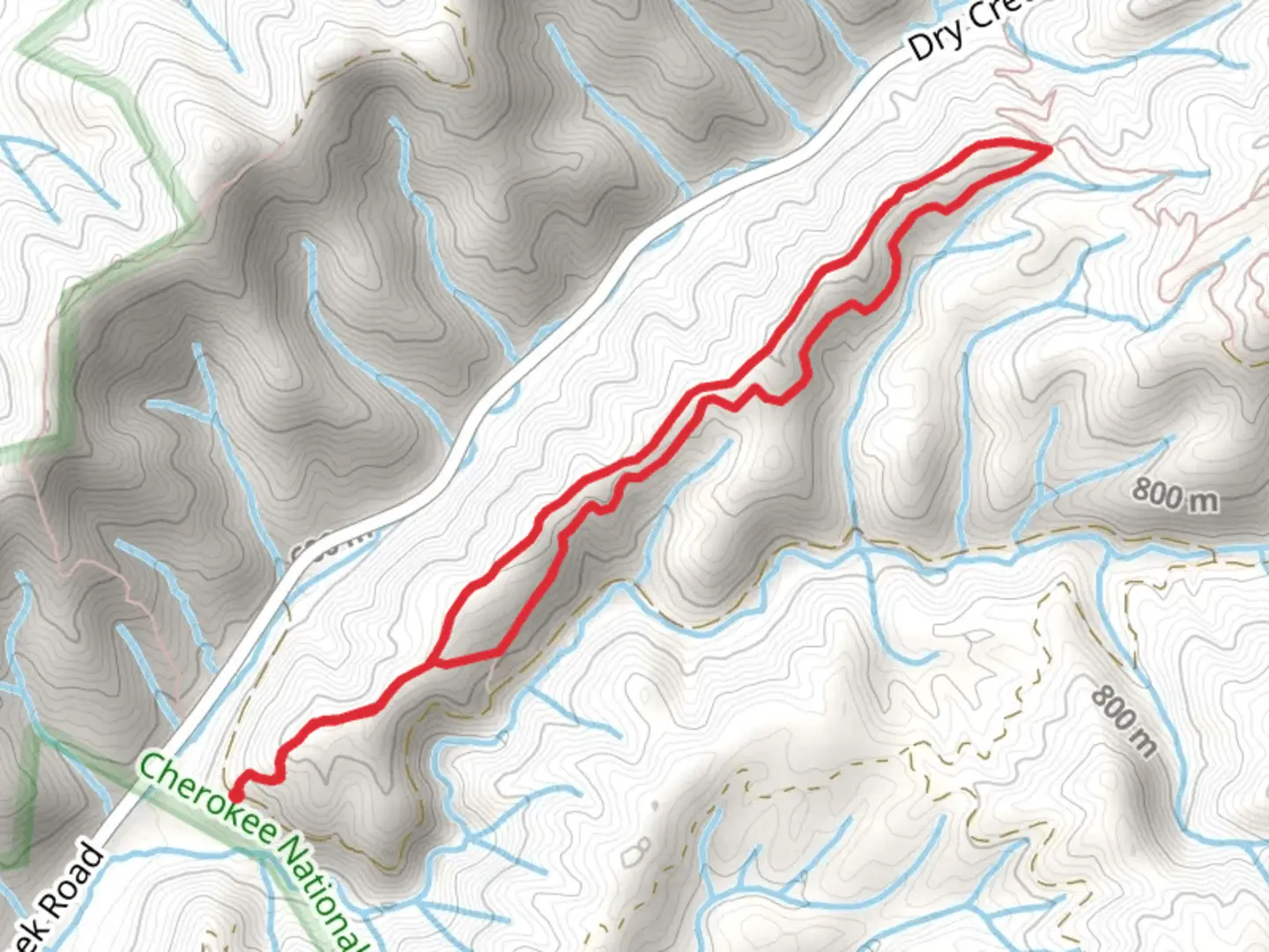 An image depicting the trail Rustic Ridge and Church Loop Trail and its surrounding area.