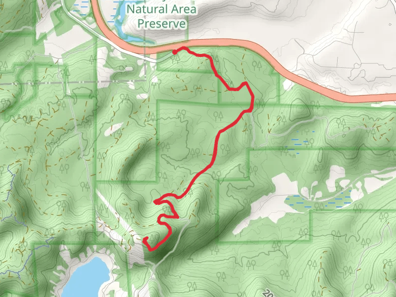 Summit Lake Overlook