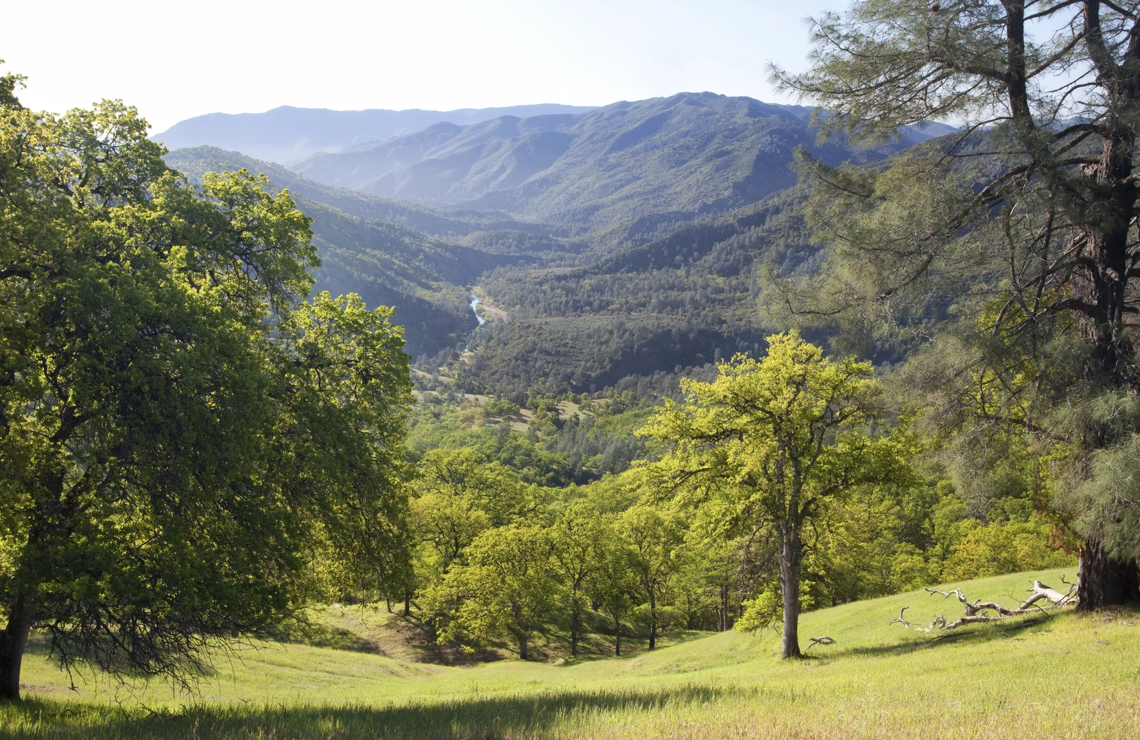An image depicting the trail Blue Ridge Trail North Loop and its surrounding area.