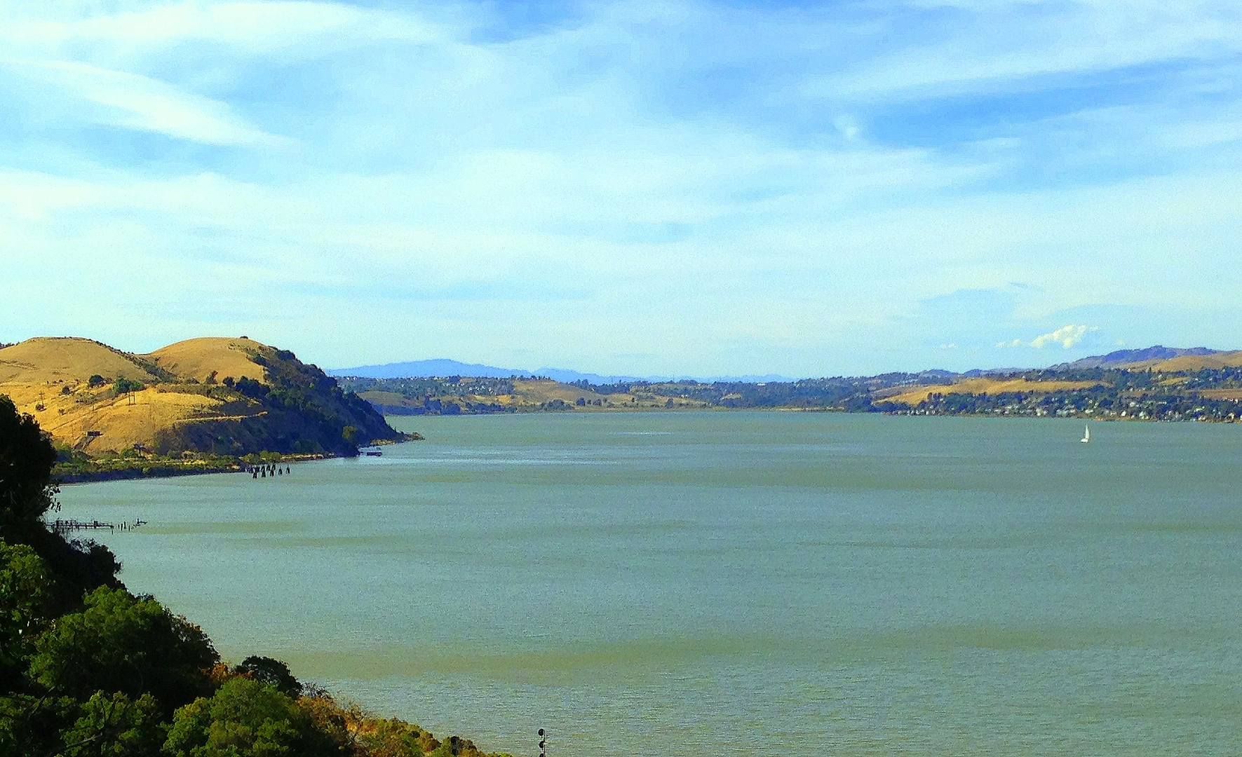 An image depicting the trail Carquinez Loop Overlook Trail and its surrounding area.