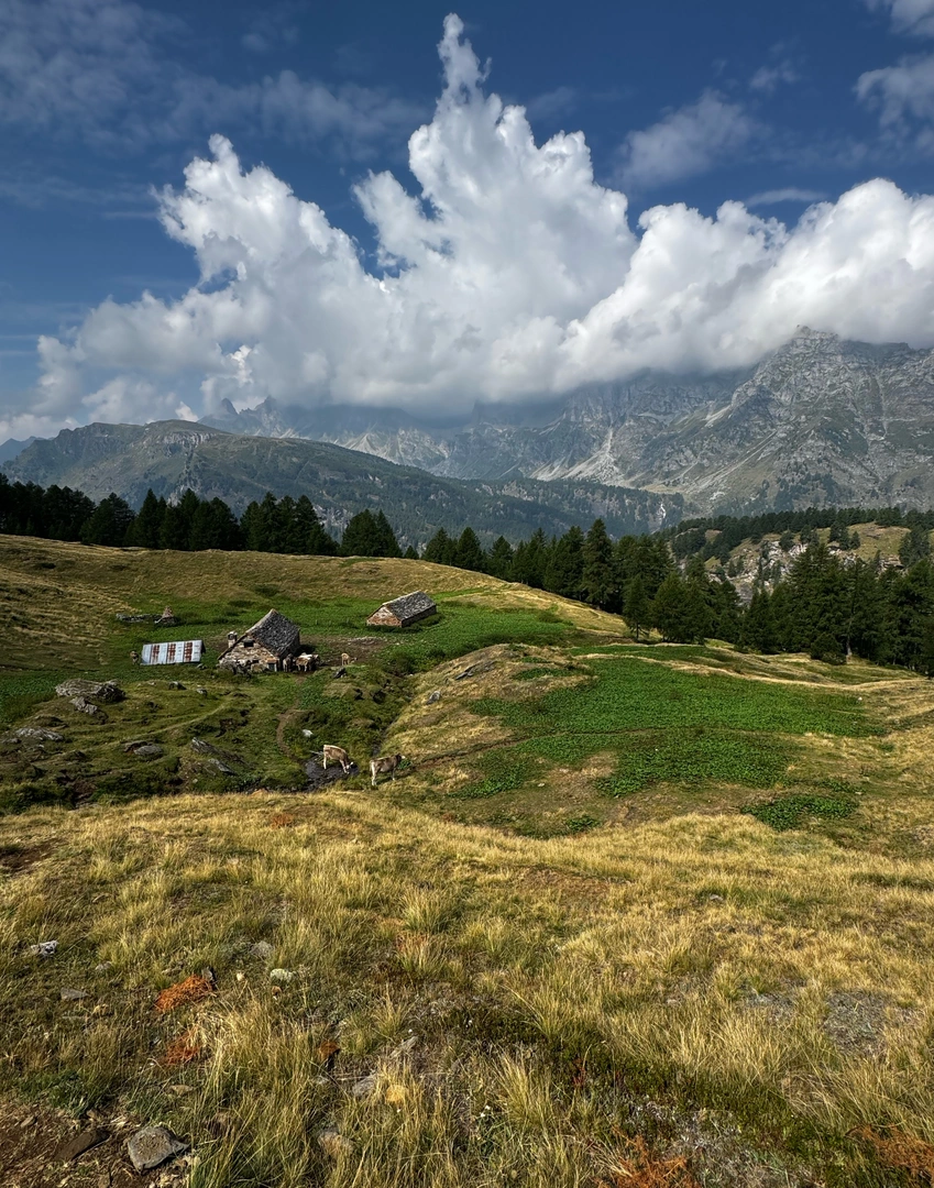 An image depicting the trail Alpe Fontane - Sangiatto - Corte Corbernas - Crampiolo - Forcoletta and its surrounding area.