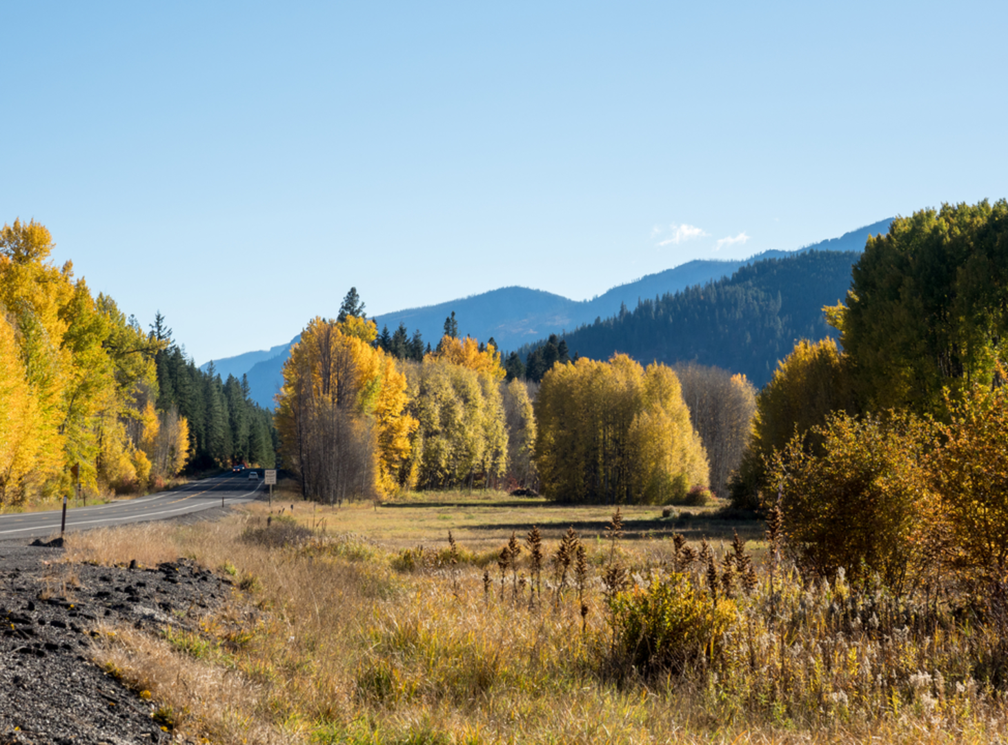 An image depicting the trail Lanham Lake Trail and its surrounding area.