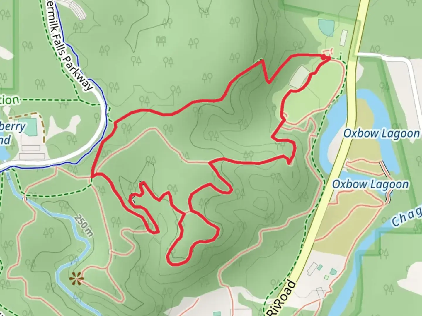 An image depicting the trail Bridle Trail, Scenic Loop Trail and Squire's Lane Trail Loop and its surrounding area.