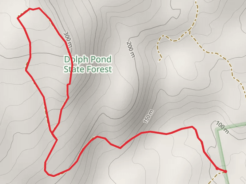 Dolph Pond State Forest Loop
