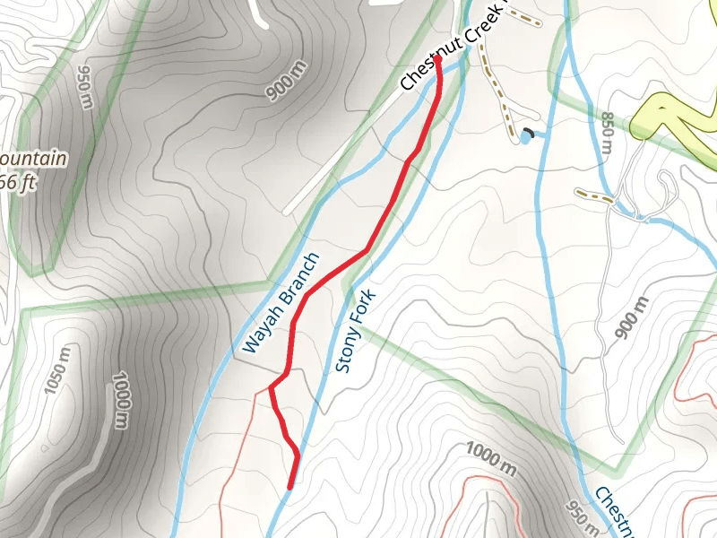 Stony Fork Walk