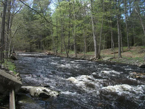 Toms Creek Trail