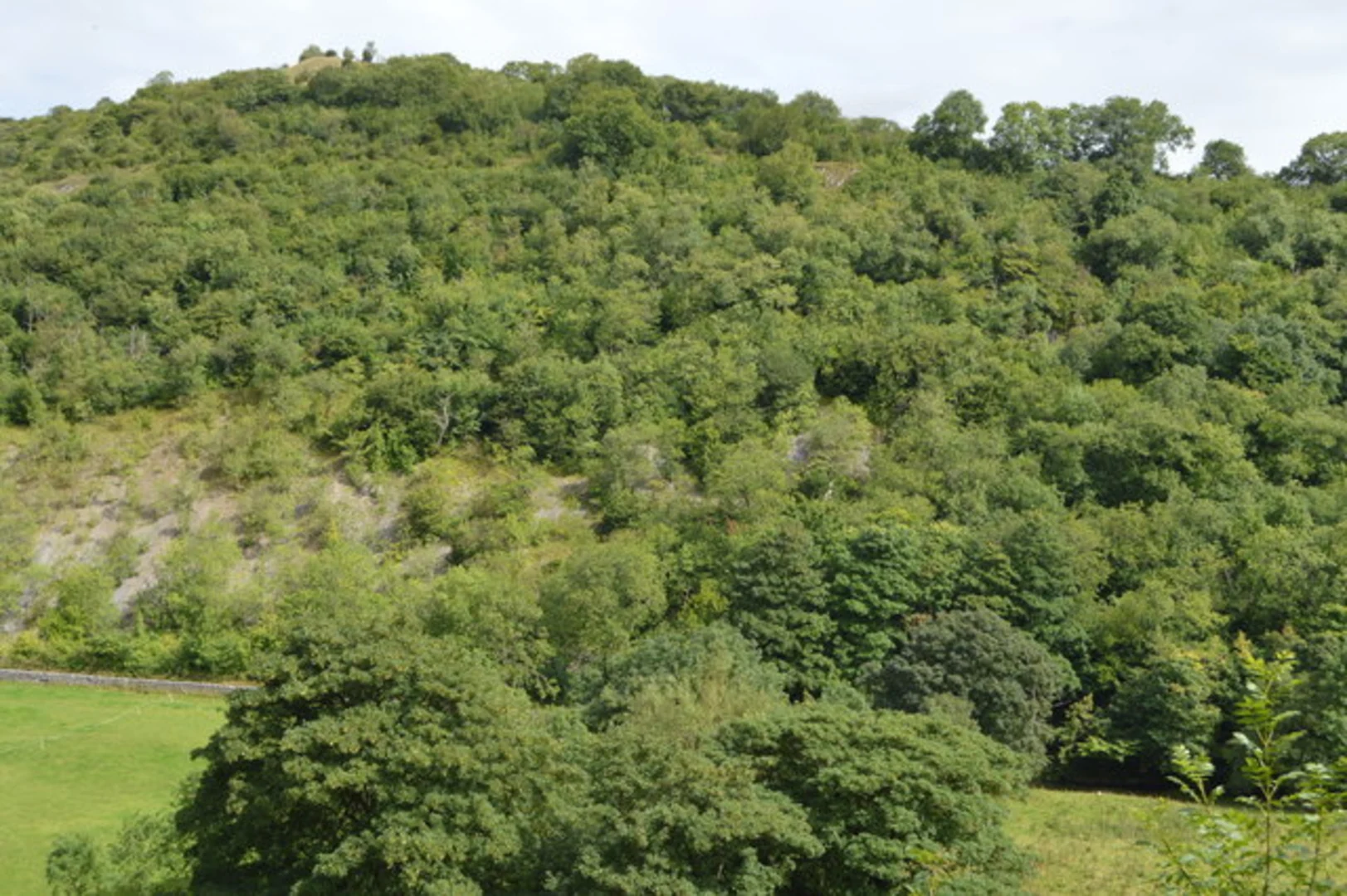 An image depicting the trail Monsal Trail from Cowlow and its surrounding area.